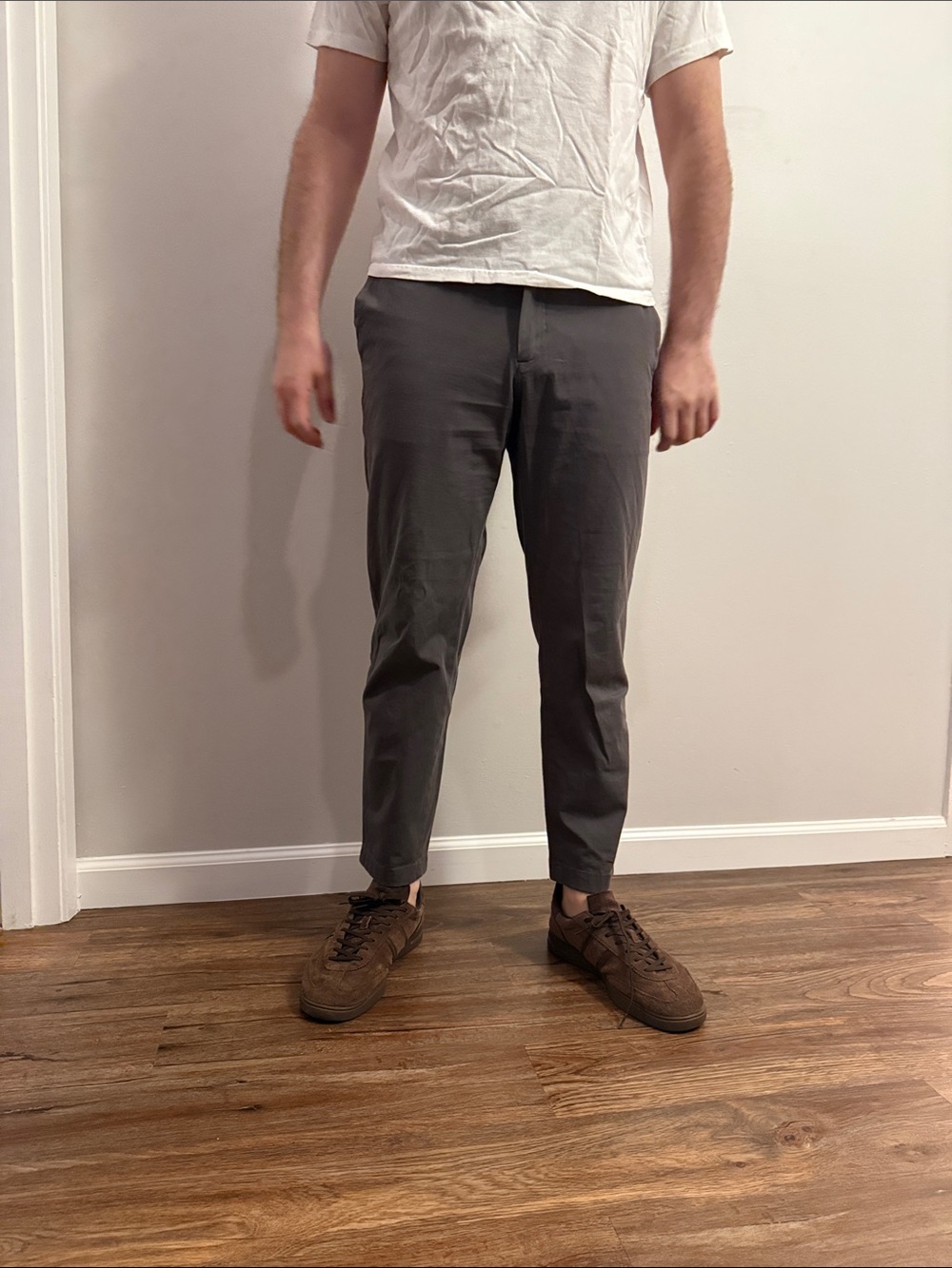 Everlane Chino Pants in Charcoal Gray